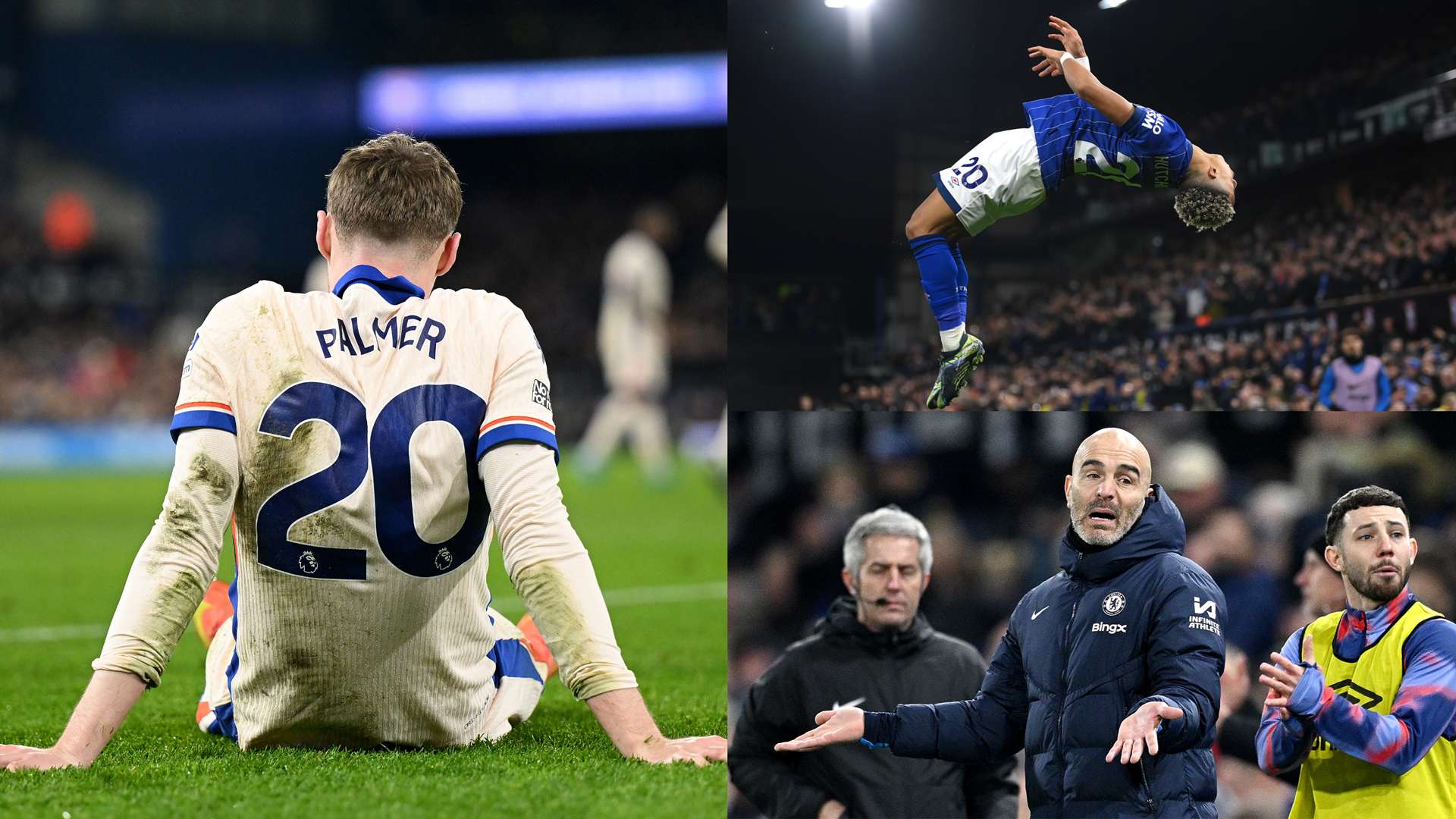 進的特點 進的特點