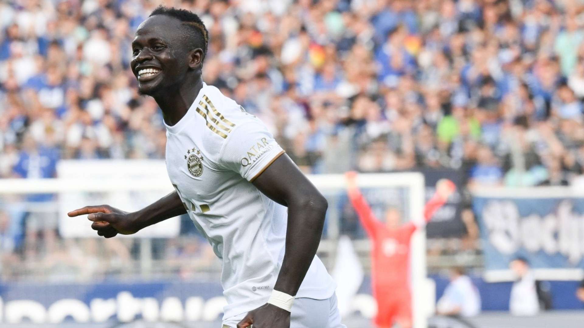 这篇文章将 这篇文章将