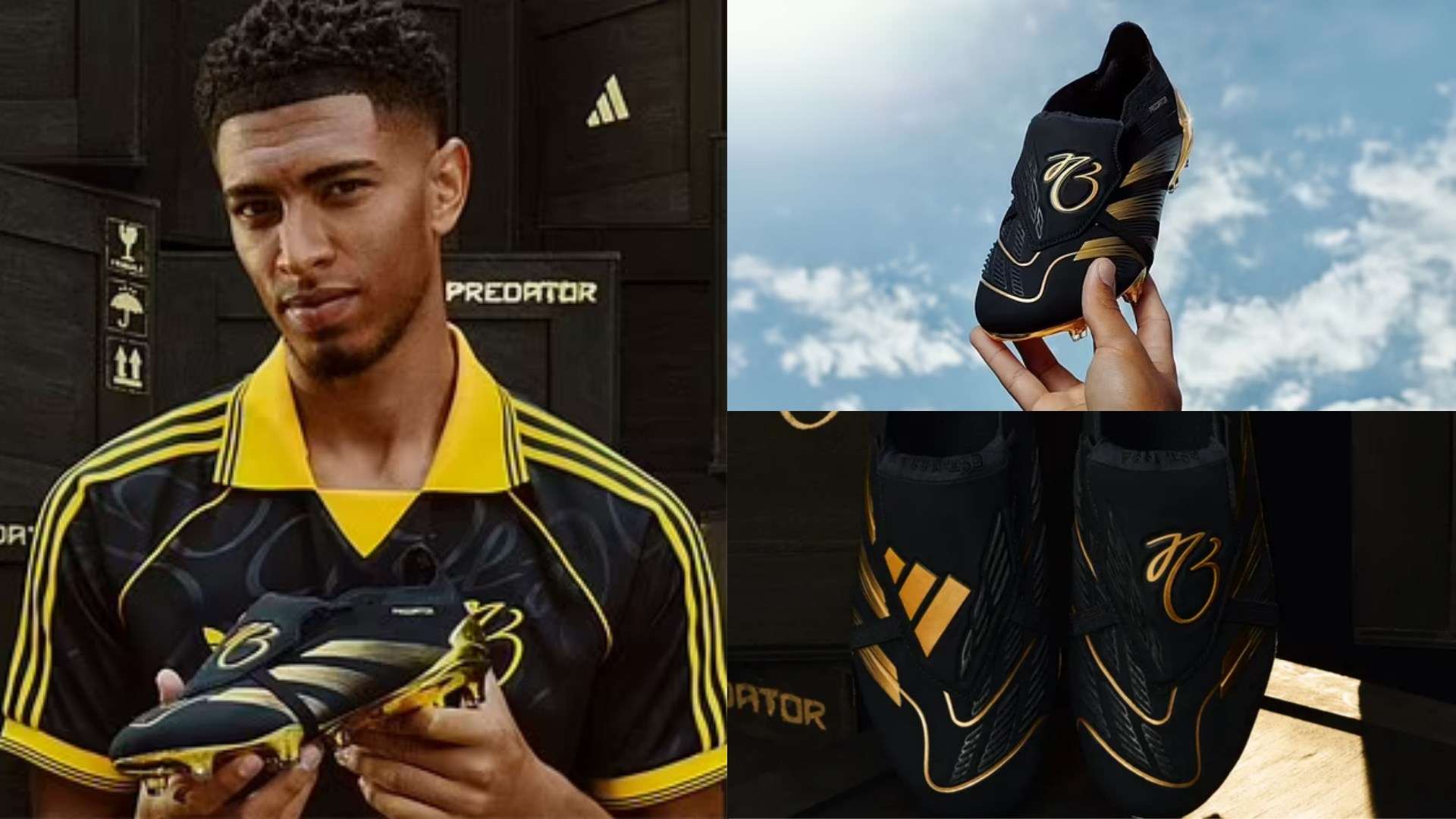 揭示出当女 揭示出当女